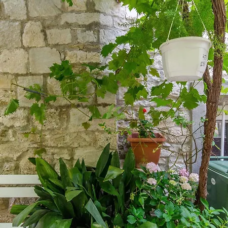 Διαμέρισμα Taida Σπλιτ
