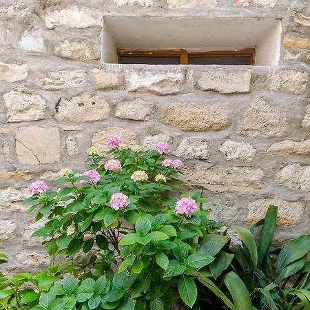 Taida * 스플리트